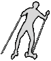 Cross-Skater-logo3-interlaced.gif
